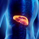 Illustration for article titled A Different Opportunity to Treat Prostate Tumors and One with Less Negative Effectsem/em
